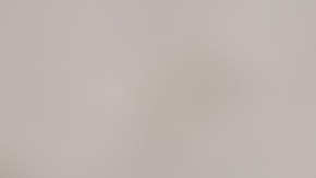 burrito de pollo con guacamole