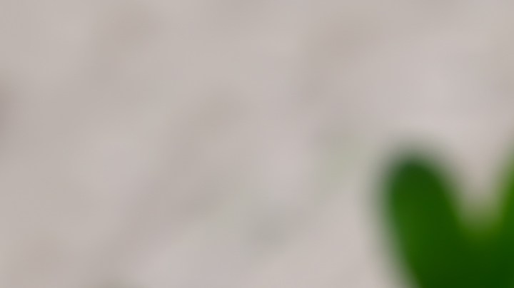 burrito de pollo con guacamole