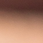 Burrito de Papa Dulce