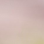 Pavo relleno de frutas