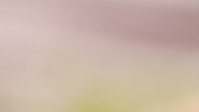 Pavo relleno de frutas