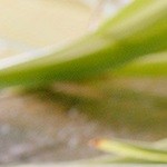 Photo © 2019 The Grosby Group Food