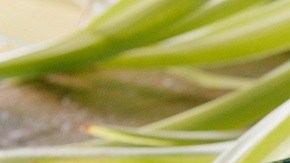 Photo © 2019 The Grosby Group Food