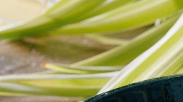 Photo © 2019 The Grosby Group Food