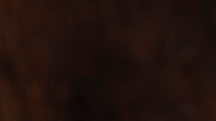 Berenjenas rellenas de lentejas