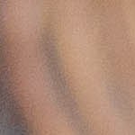 Berenjenas rellenas de pescado