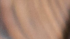 Berenjenas rellenas de pescado