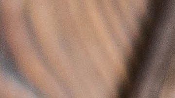 Berenjenas rellenas de pescado