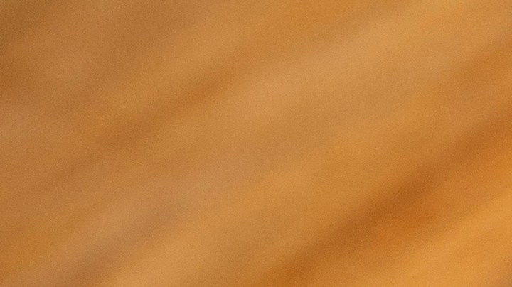 Calabacines rellenos de pescado