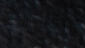 Muslos de pollo con salsa de ajo y miel