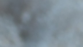 Muslos de pollo en salsa de mostaza y miel