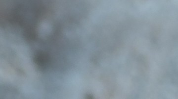 Muslos de pollo en salsa de mostaza y miel