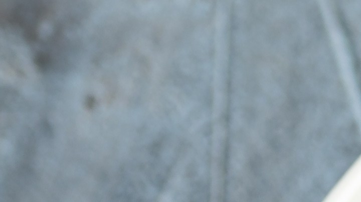 Muslos de pollo en salsa de mostaza y miel