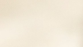 Pimentos con carne y queso