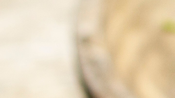 Pimentos con carne y queso