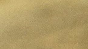 Pescado empapelado en salsa de cilantro