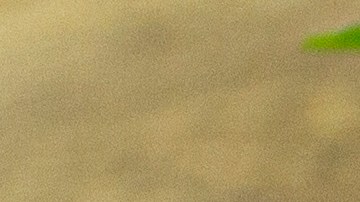 Pescado empapelado en salsa de cilantro