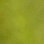 Pollo empanizado a la mostaza y limón