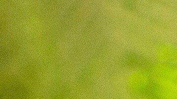 Pollo empanizado a la mostaza y limón