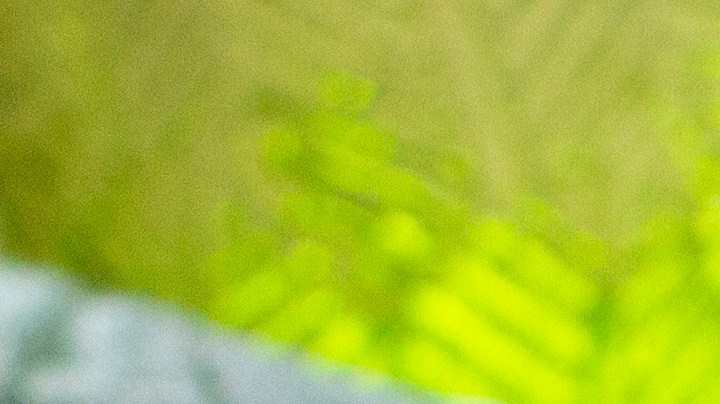 Pollo empanizado a la mostaza y limón