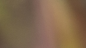 Pavo relleno con foie gras