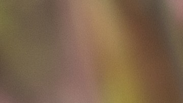 Pavo relleno con foie gras