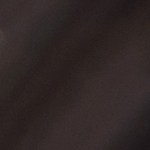 Pavo relleno con arroz salvaje