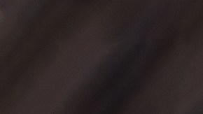 Pavo relleno con arroz salvaje