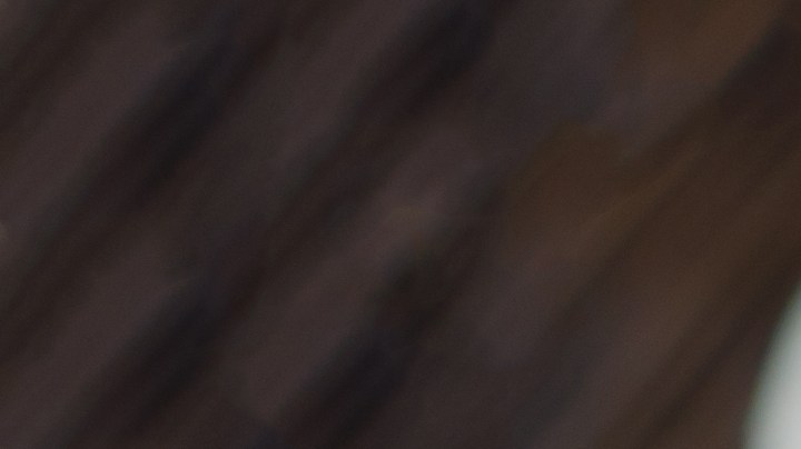 Pavo relleno con arroz salvaje