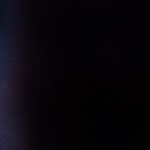 Pavo relleno con batatas y nueces