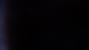 Pavo relleno con batatas y nueces