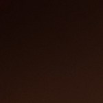 pavo relleno con cebollas caramelizadas y champiñones