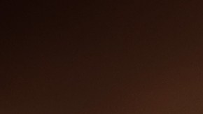 pavo relleno con cebollas caramelizadas y champiñones