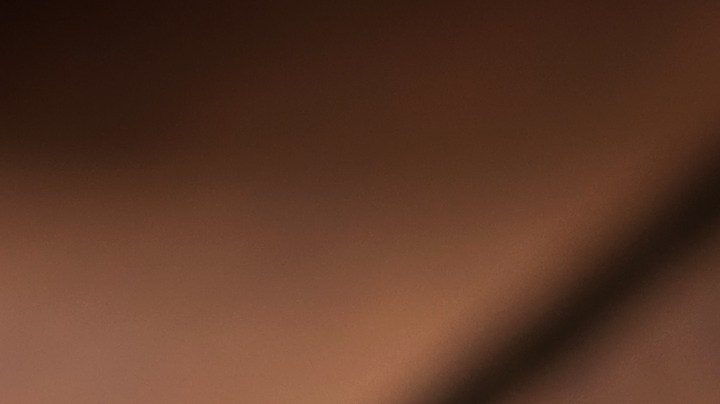 pavo relleno con cebollas caramelizadas y champiñones