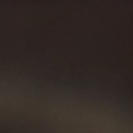 Pavo relleno con cuscús y almendras