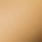 Pavo relleno con hígado de pollo