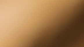 Pavo relleno con hígado de pollo