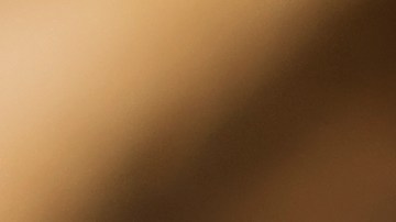 Pavo relleno con hígado de pollo