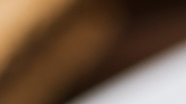 Pavo relleno con hígado de pollo