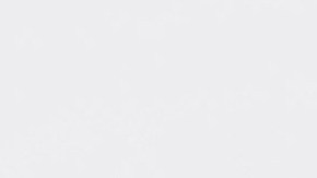 Pavo relleno con trufas