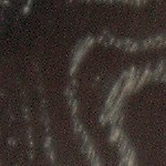 Pavo relleno de castañas