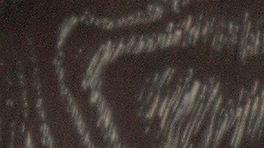 Pavo relleno de castañas