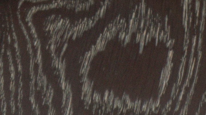 Pavo relleno de castañas