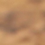 Pavo relleno de jamón y queso