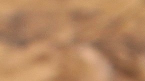 Pavo relleno de jamón y queso