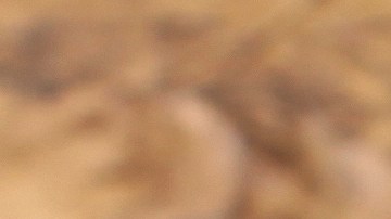 Pavo relleno de jamón y queso