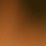 Pavo relleno estilo francés