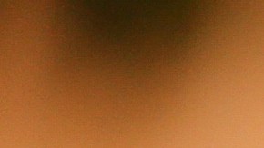 Pavo relleno estilo francés