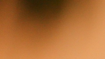 Pavo relleno estilo francés