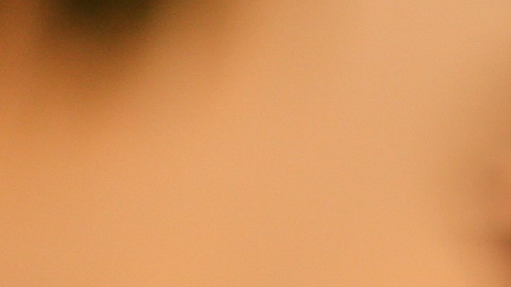 Pavo relleno estilo francés